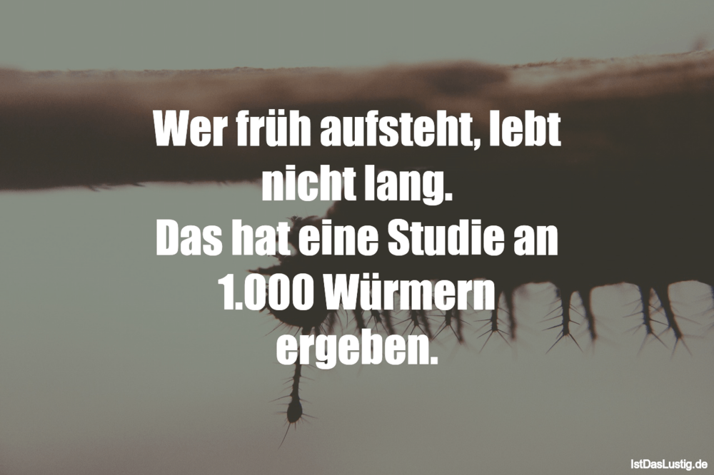 Lustige Bilder Sprüche Früh Aufstehen Lustige Bilder Sprüche Früh Aufstehen